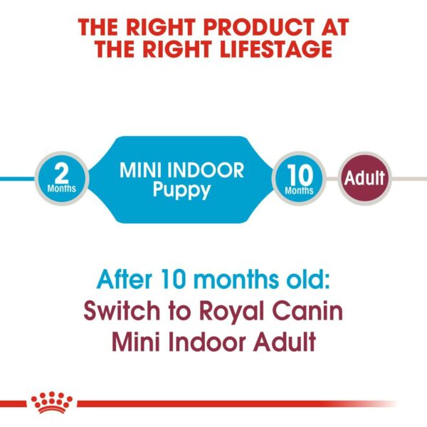 غذای سگ رویال کنین نژاد کوچک خانگی mini indoor puppy